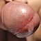 berliner71 Profile Picture
