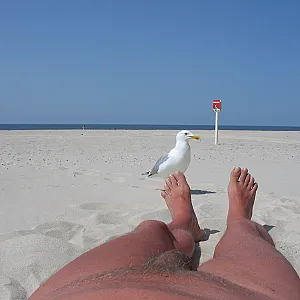 Strand und Mix Galeriebild