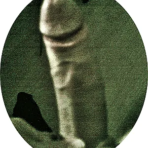 just me Galeriebild
