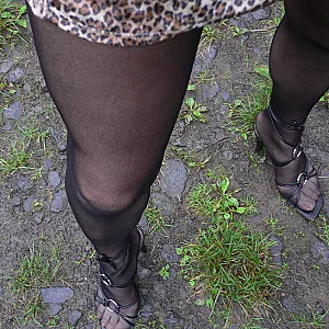 Im Wald Galeriebild