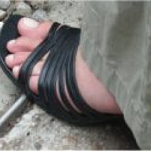 fjAnne Profile Picture