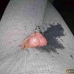 gei gepisst Galeriebild