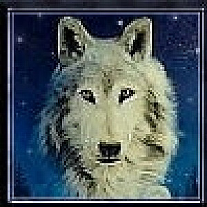 CrazyWolf Profilbild