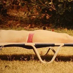 Urlaub in Mallorca Galeriebild