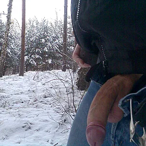 Im Schnee Galeriebild