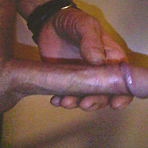 pics 2 gallery image