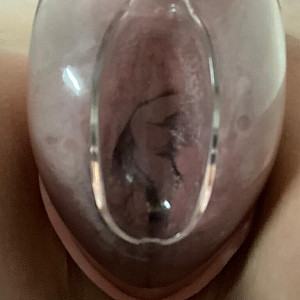 pumped pussy gallery image
