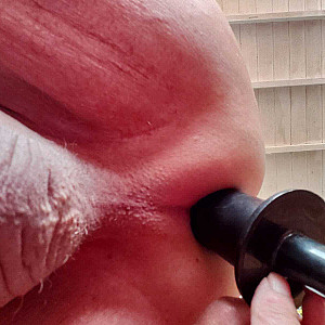 Geiler Schwanz Galeriebild