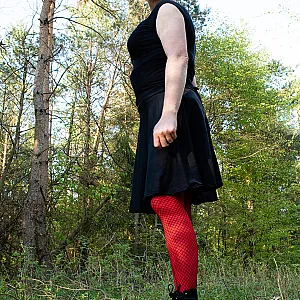 Waldspaziergang in DW Galeriebild