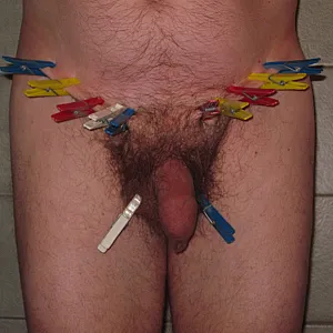 clamps gallery image