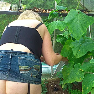 Im Garten Galeriebild