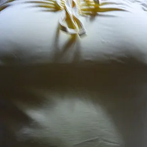 mini gallery image