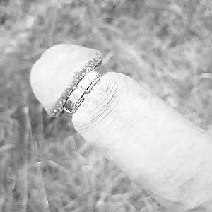 my cock gallery image