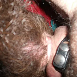 XL Cock Blowjob gallery image