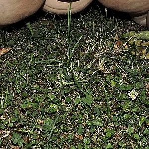 nude and horney on appletree gallery image