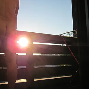 In the morning gallery image