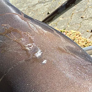 Tag im Park Galeriebild