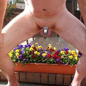 outdoor gallery image