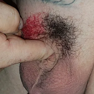 midi cock gallery image