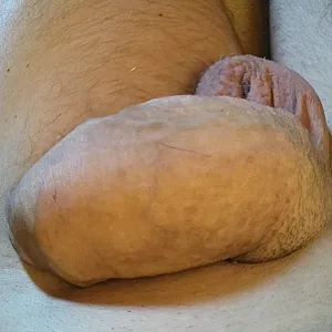 Cock gallery image