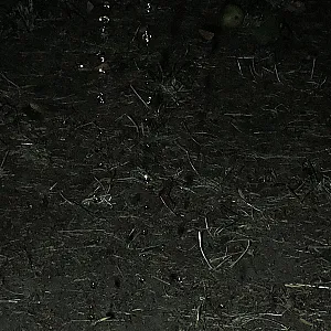 Outdoor in der Liebesschaukel gepisst Galeriebild