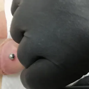fourth piercing in my glans gallery image