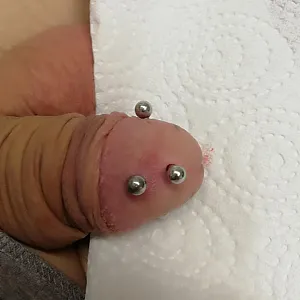 fourth piercing in my glans gallery image