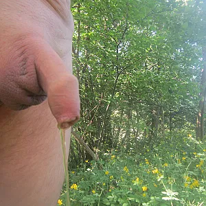 Pissing gallery image