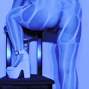 Catsweat in blauen Neonlicht Galeriebild