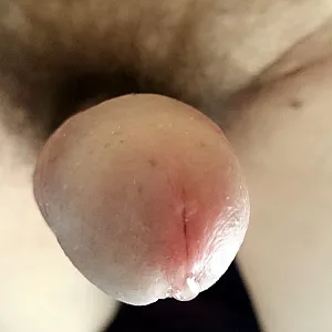 dick gallery image