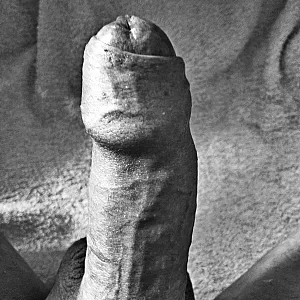 my cock gallery image