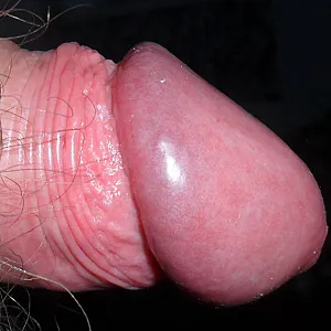 My small dick gallery image