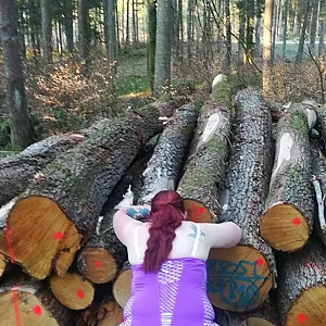 in wood gallery image