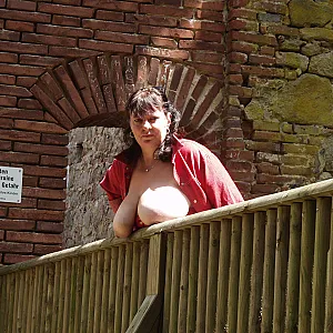 469 gallery image