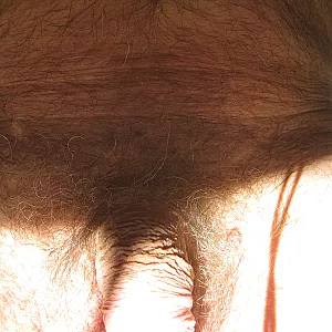 First image of Albert's Gallery - My dick