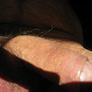 My dick gallery image