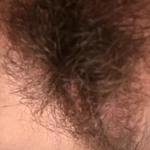 the pussy from my wife gallery image