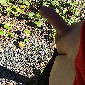 Nach dem joggen geil gewesen im Wald Galeriebild
