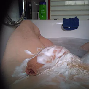 My dick in action gallery image