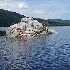 Urlaub im Schwarzwald Galeriebild