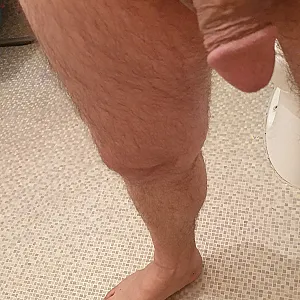 my shaved cock gallery image