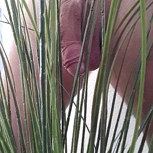 I was horny gallery image