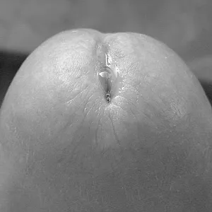 S/W Aufnahmen... Galeriebild