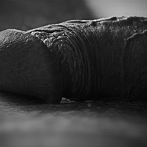 Black white pics gallery image