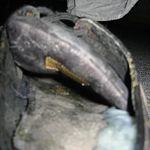 Buffalo clogjob gallery image