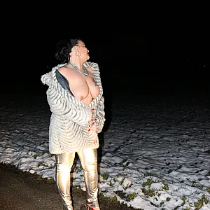 snow in wien gallery image