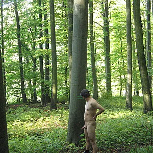 First image of badener68's Gallery - Autumnwood
