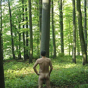 Autumnwood gallery image