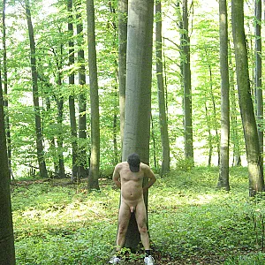 Autumnwood gallery image