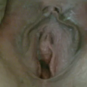 pussy gallery image